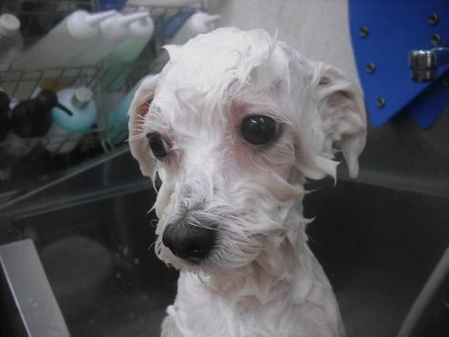 ファイル 2289-2.jpg