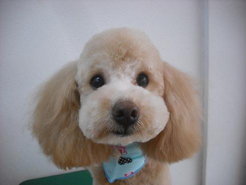 ファイル 229-1.jpg