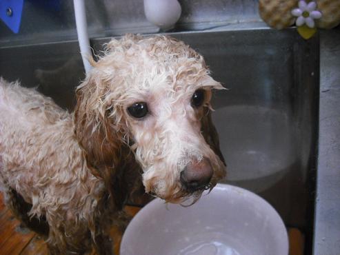 ファイル 229-2.jpg