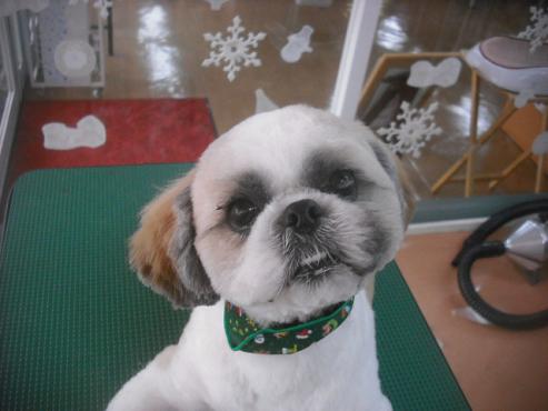 ファイル 2291-1.jpg