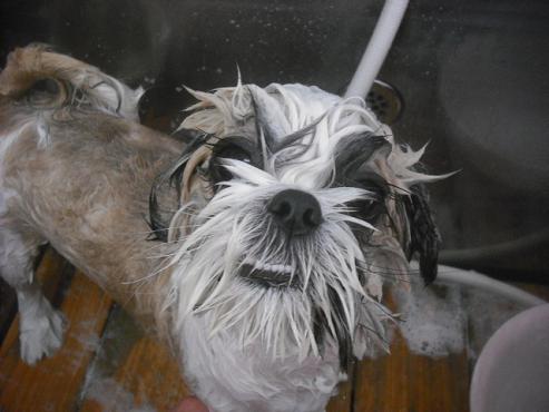 ファイル 2291-2.jpg