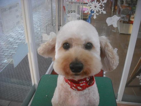 ファイル 2292-1.jpg