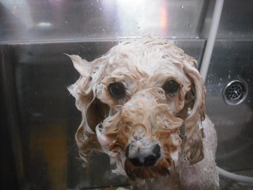 ファイル 2292-2.jpg