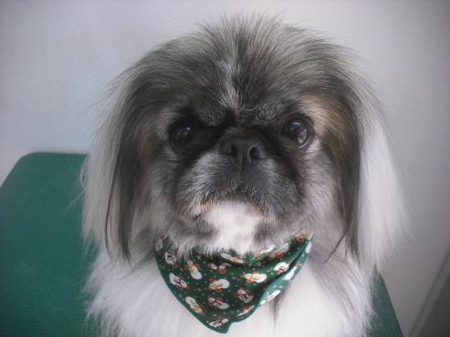 ファイル 2293-1.jpg