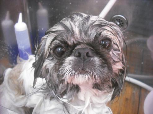 ファイル 2293-2.jpg