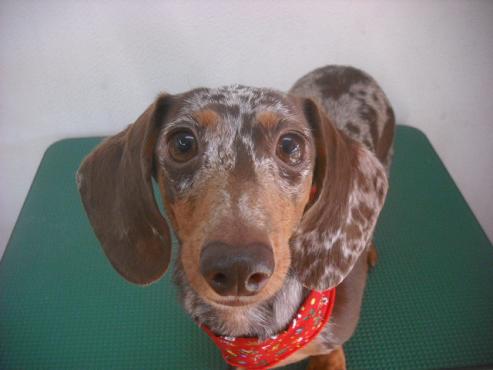 ファイル 2294-1.jpg