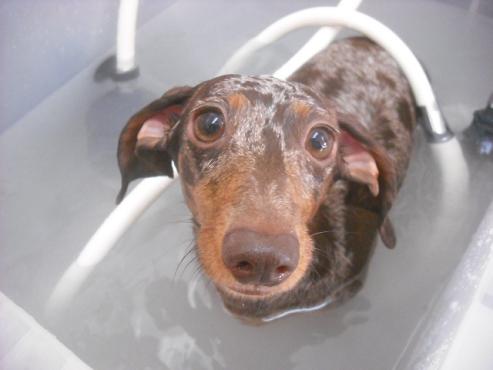 ファイル 2294-2.jpg