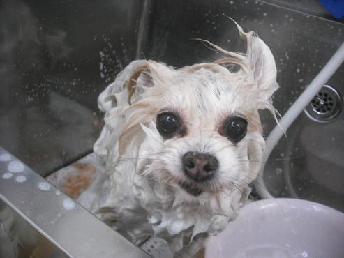 ファイル 2299-2.jpg