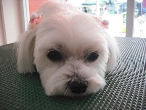 ファイル 23-1.jpg