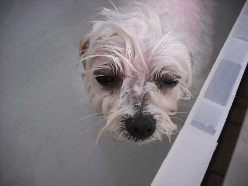 ファイル 23-2.jpg