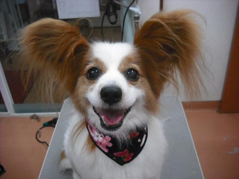 ファイル 230-1.jpg