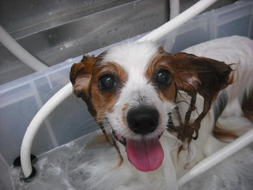 ファイル 230-2.jpg