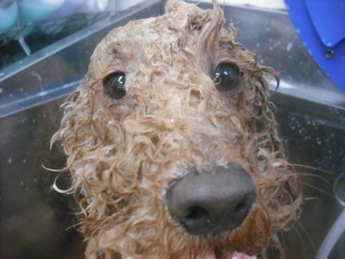 ファイル 2300-2.jpg