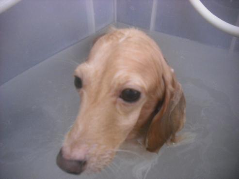 ファイル 2301-2.jpg