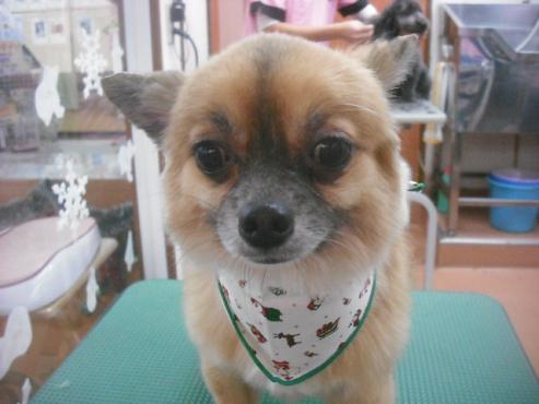 ファイル 2303-2.jpg