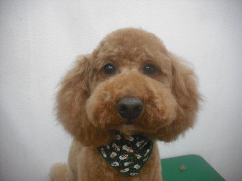 ファイル 2307-1.jpg