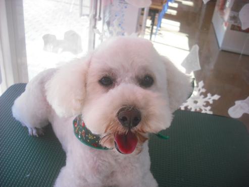 ファイル 2308-1.jpg