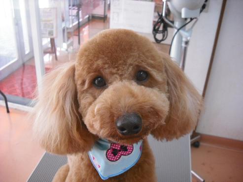 ファイル 231-1.jpg