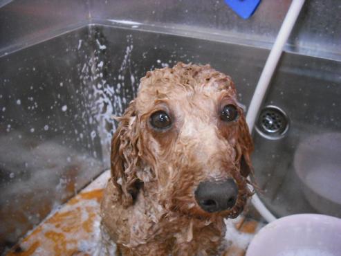 ファイル 231-2.jpg