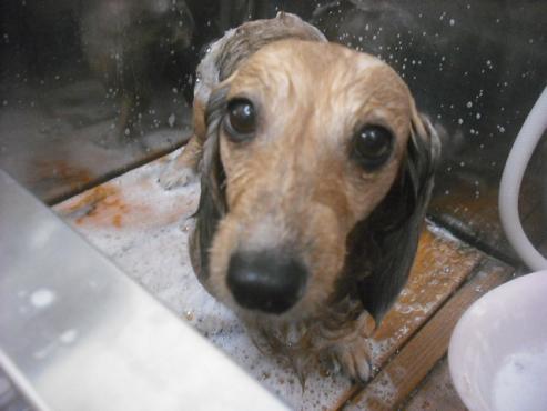 ファイル 2310-2.jpg