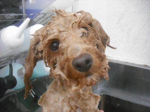 ファイル 2313-2.jpg