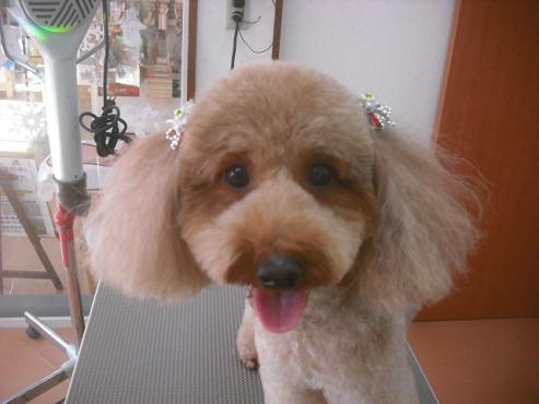 ファイル 2314-1.jpg