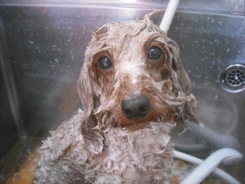 ファイル 2314-2.jpg