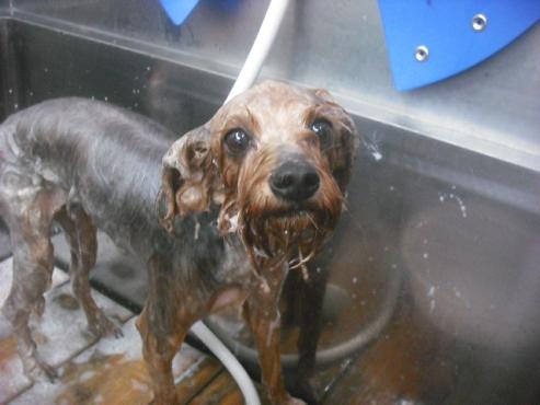 ファイル 2316-2.jpg