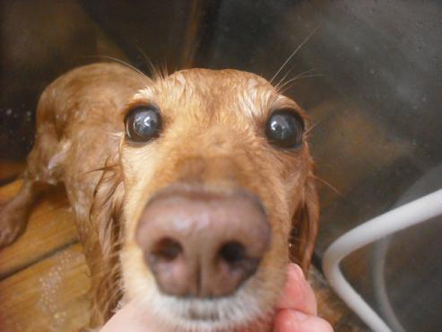 ファイル 2318-2.jpg