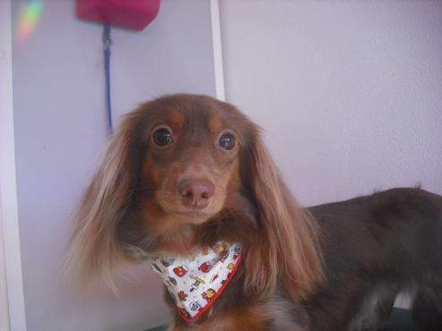 ファイル 2319-1.jpg