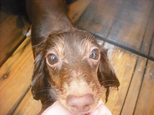 ファイル 2319-2.jpg