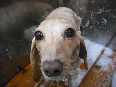 ファイル 232-2.jpg