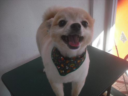 ファイル 2320-1.jpg