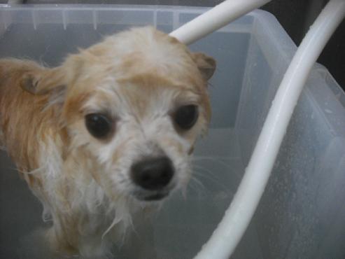 ファイル 2320-2.jpg