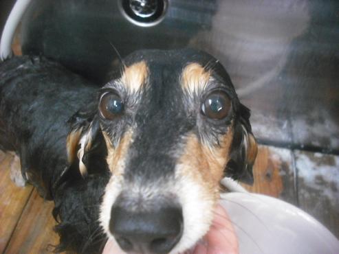 ファイル 2321-2.jpg