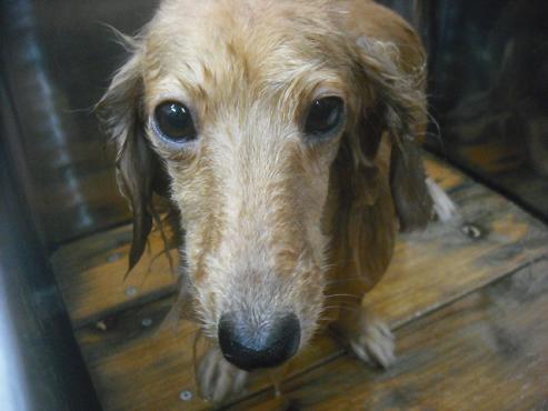 ファイル 2323-2.jpg