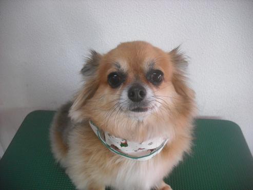 ファイル 2324-1.jpg