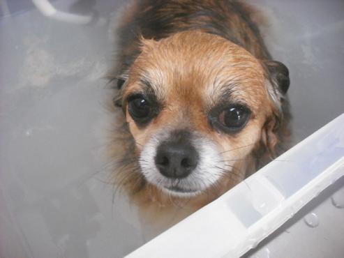 ファイル 2324-2.jpg