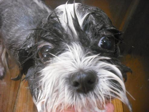 ファイル 2325-2.jpg