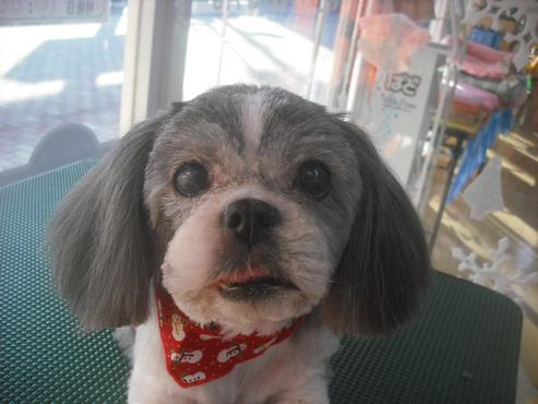 ファイル 2326-1.jpg