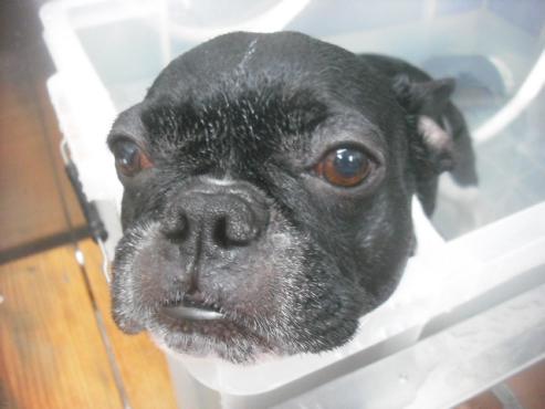 ファイル 2329-2.jpg