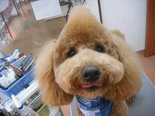 ファイル 233-1.jpg