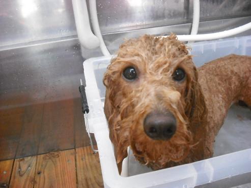 ファイル 233-2.jpg