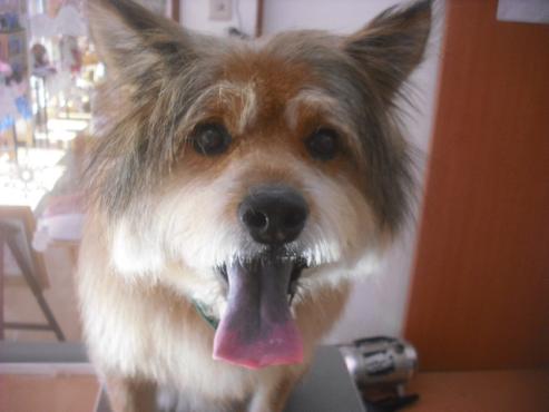 ファイル 2330-1.jpg