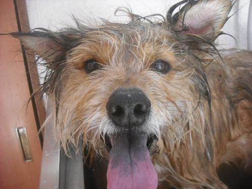 ファイル 2330-2.jpg