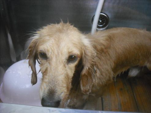 ファイル 2331-2.jpg