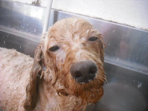 ファイル 2337-2.jpg