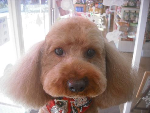 ファイル 2338-1.jpg