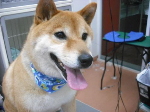 ファイル 234-1.jpg