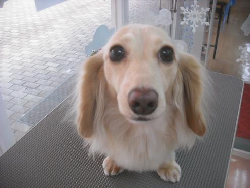 ファイル 2340-1.jpg